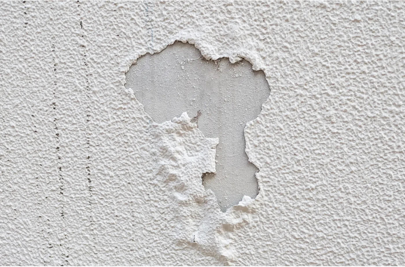 保証やアフターサービスが明確か